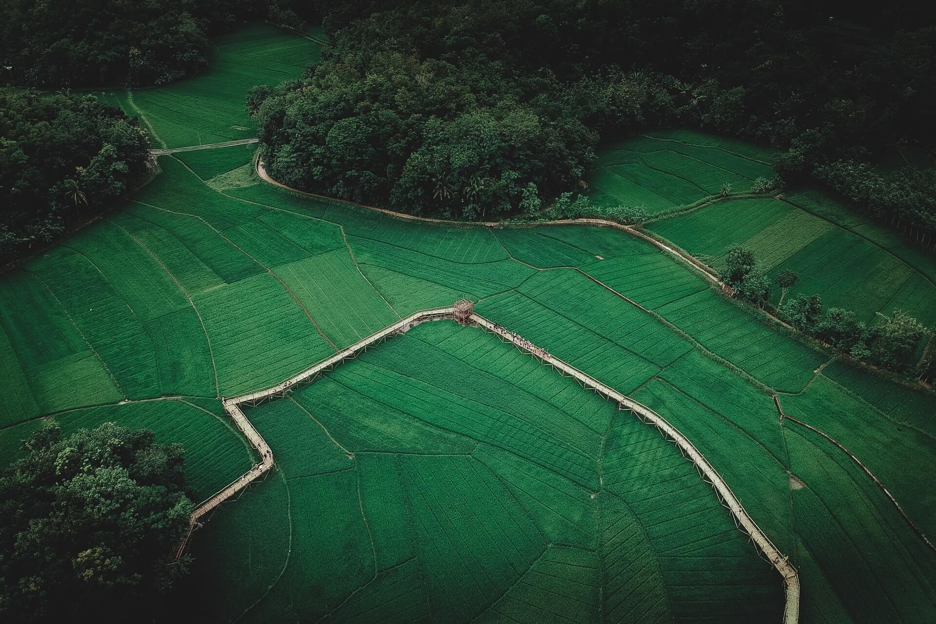 An open field for farming with a path in the middle for walking